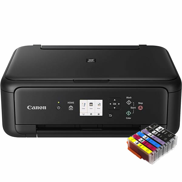Canon Pixma TS6250 Ink